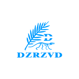 DZRZVD D商标转让