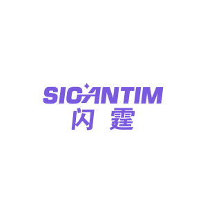 闪霆 SIOANTIM商标转让