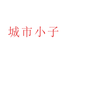 城市小子商标转让