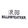 浪羽 BILLOWFEATHER商标转让