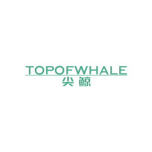 尖鲸 TOPOFWHALE商标转让