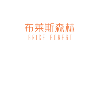 布莱斯森林  BRICE FOREST商标转让