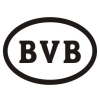 BVB商标转让