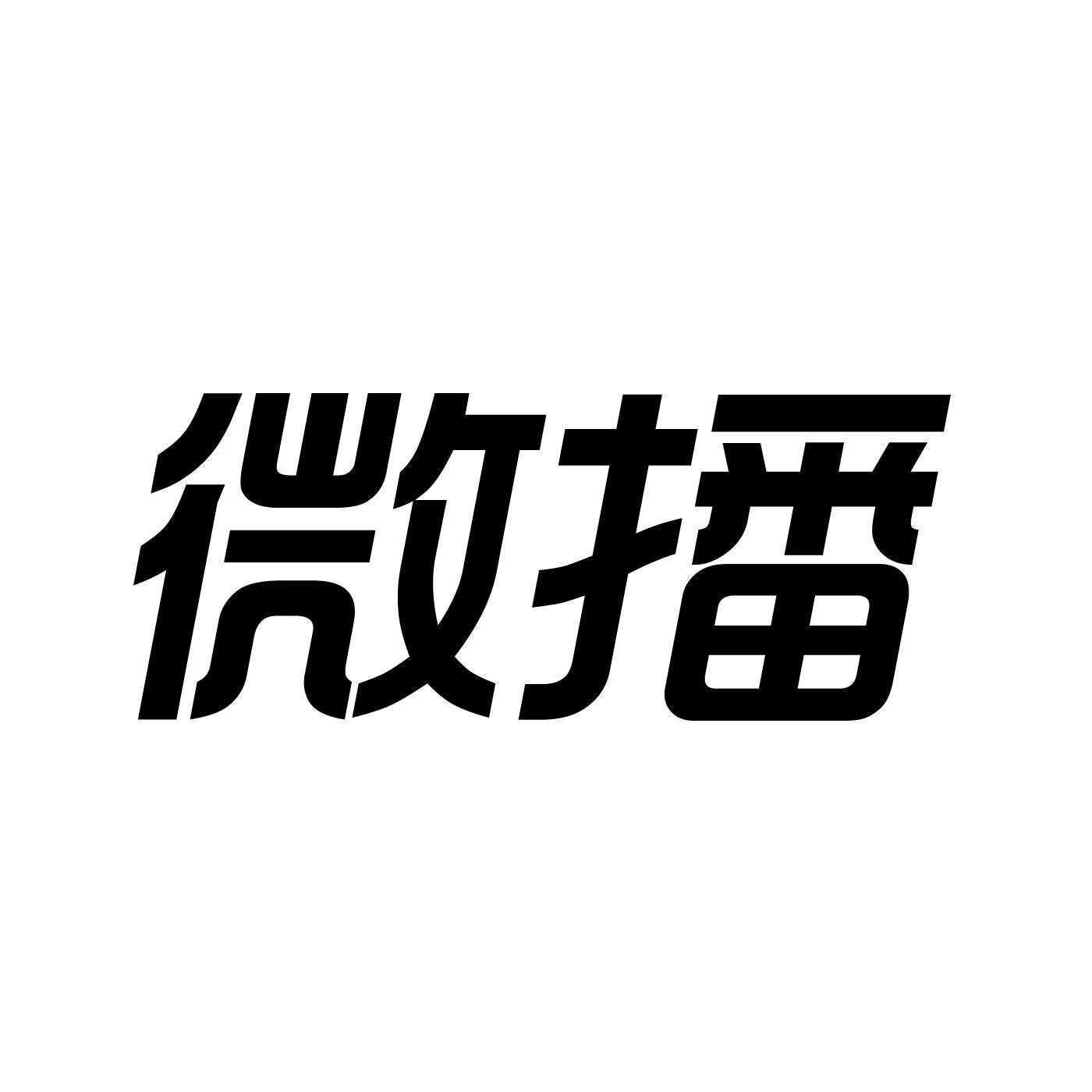 第42类-网站服务