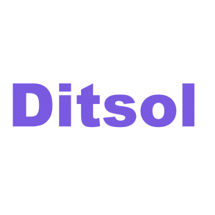 DITSOL商标转让