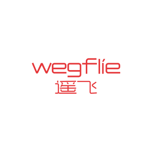 遥飞 WEGFLIE商标转让