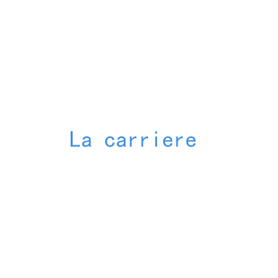 LA CARRIERE商标转让