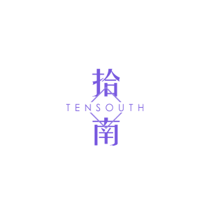 拾南 TENSOUTH商标转让