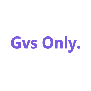 GVS ONLY.商标转让