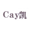 CAY 凯商标转让