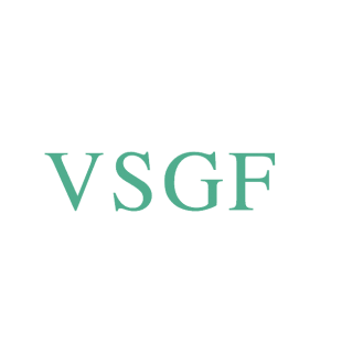 VSGF商标转让