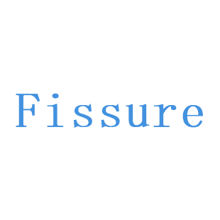 FISSURE商标转让