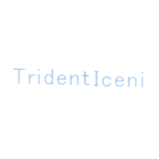 TRIDENTICENI商标转让