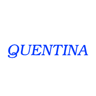 QUENTINA商标转让