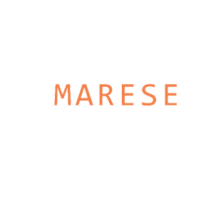 MARESE商标转让