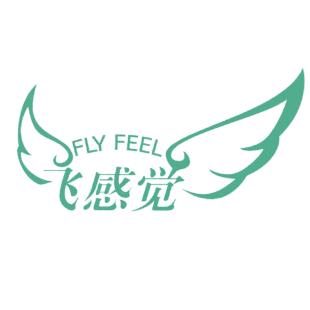 飞感觉 FLY FEEL商标转让