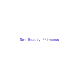 NET BEAUTY PRINCESS商标转让