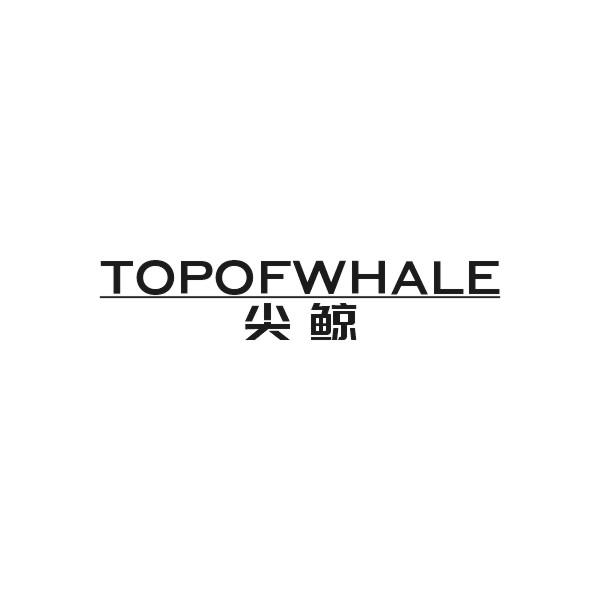 尖鲸 TOPOFWHALE商标转让