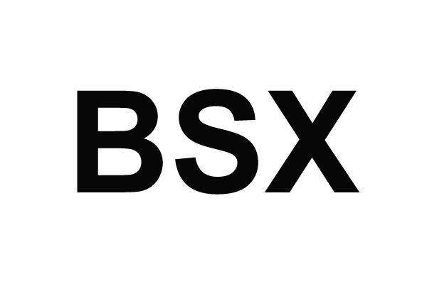 BSX商标转让