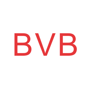 BVB商标转让