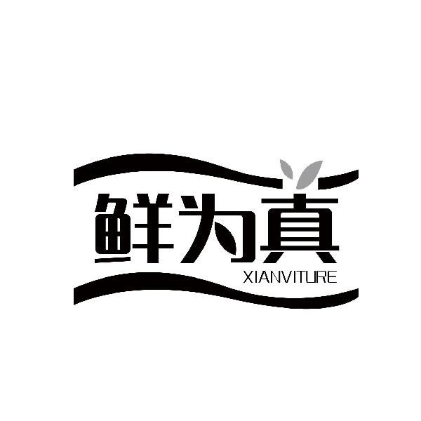鲜为真 XIANVITURE商标转让