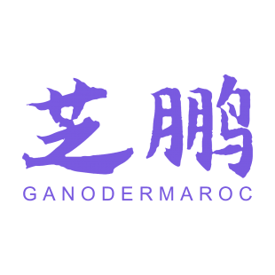 芝鹏 GANODERMAROC商标转让