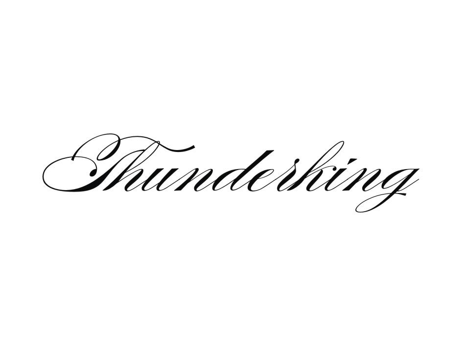 THUNDERKING商标转让