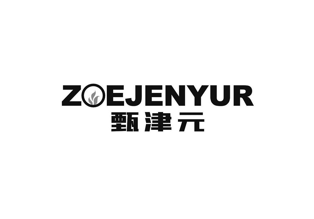 甄津元 ZOEJENYUR商标转让