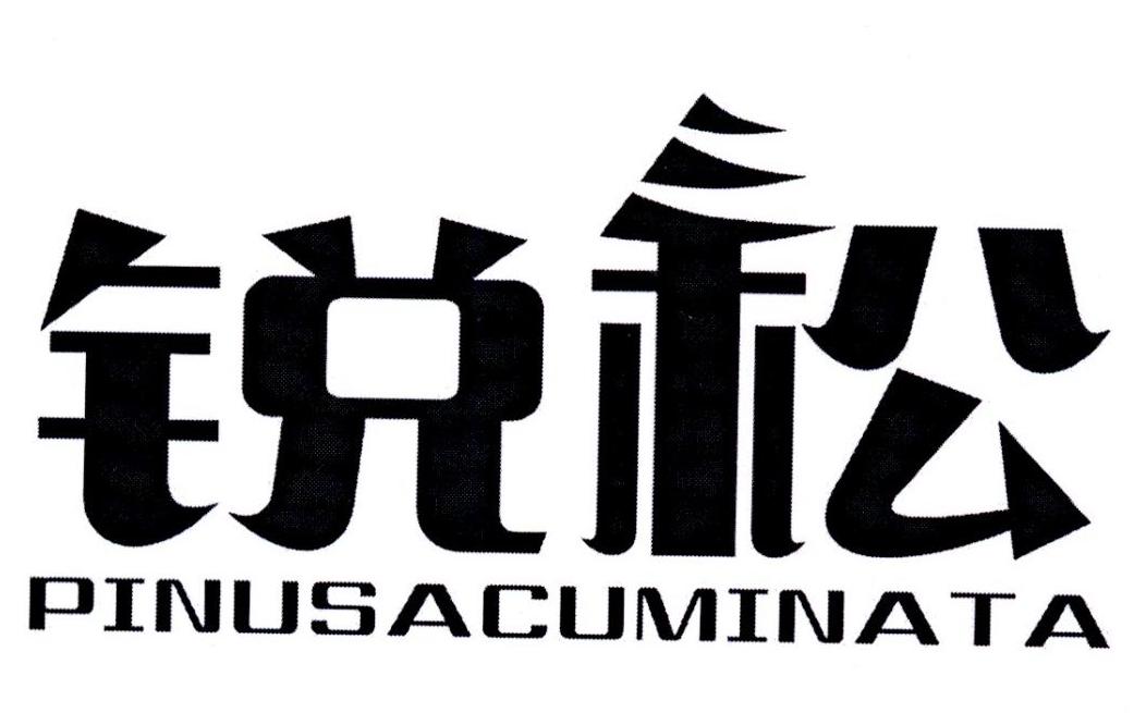 锐松 PINUSACUMINATA商标转让