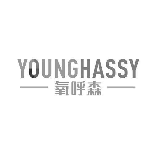 氧呼森 YOUNGHASSY商标转让