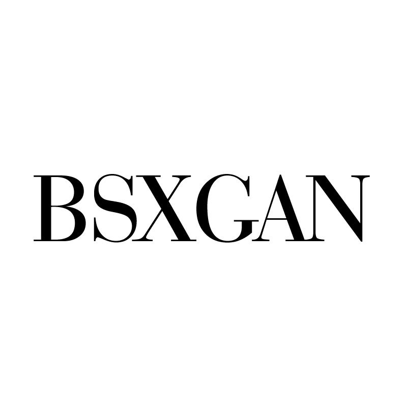 BSXGAN商标转让