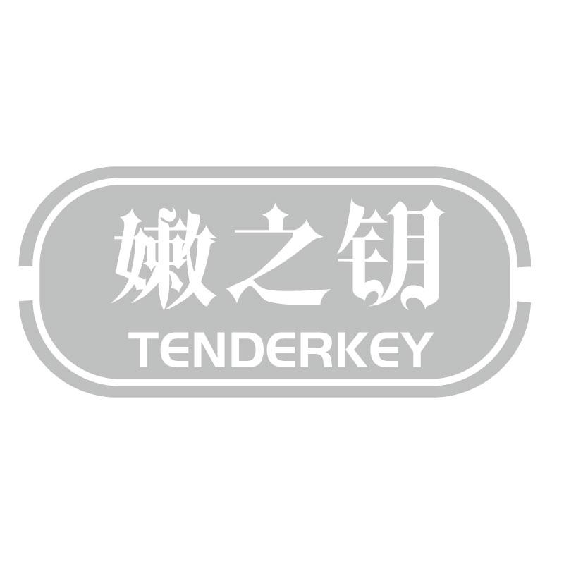 嫩之钥 TENDERKEY商标转让
