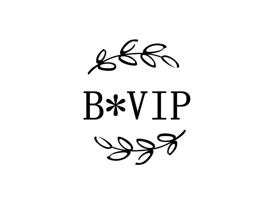B VIP商标转让