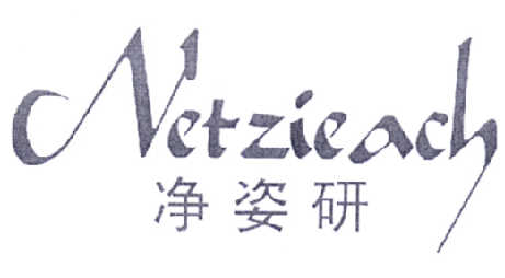 净姿研  NETZIEACH商标转让