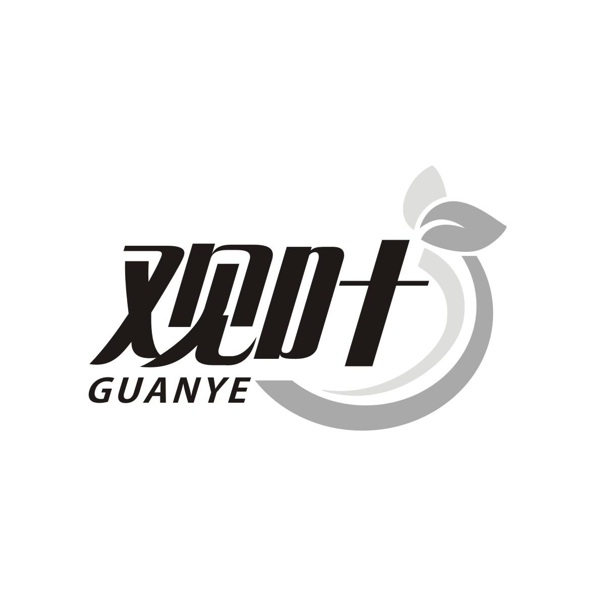 观叶 GUANYE商标转让