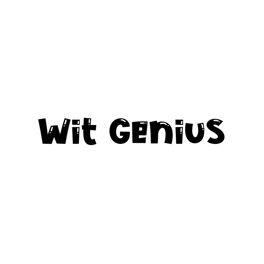 WIT GENIUS商标转让
