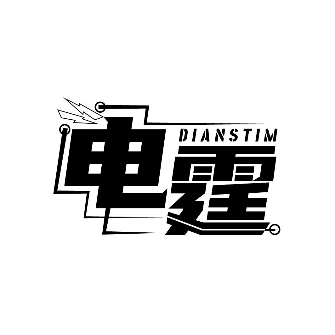 电霆 DIANSTIM商标转让