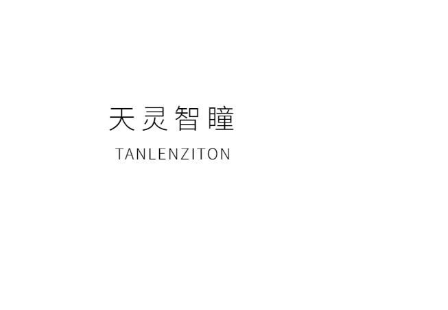 天灵智瞳 TANLENZITON商标转让