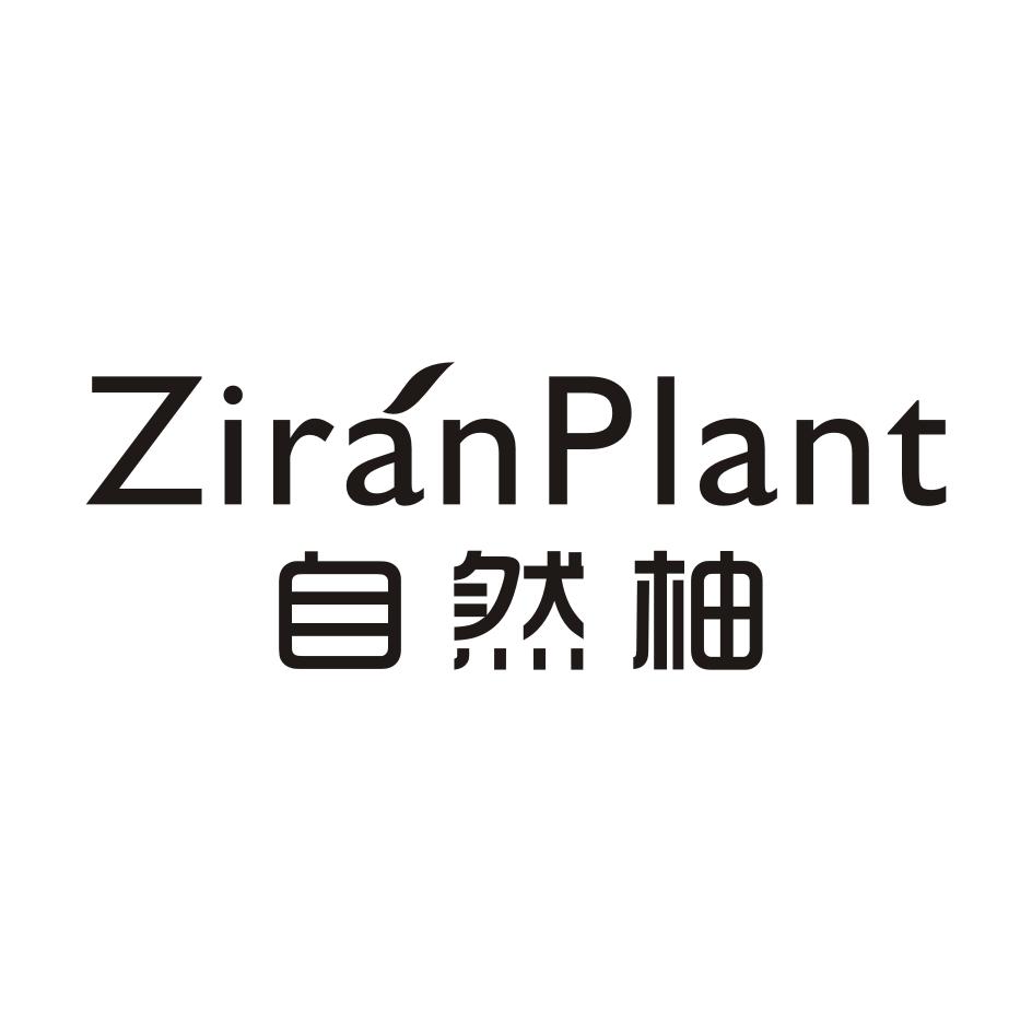 自然柚  ZIRAN PLANT商标转让