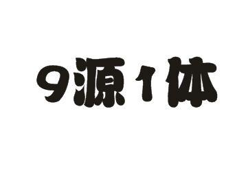 9源1体商标转让