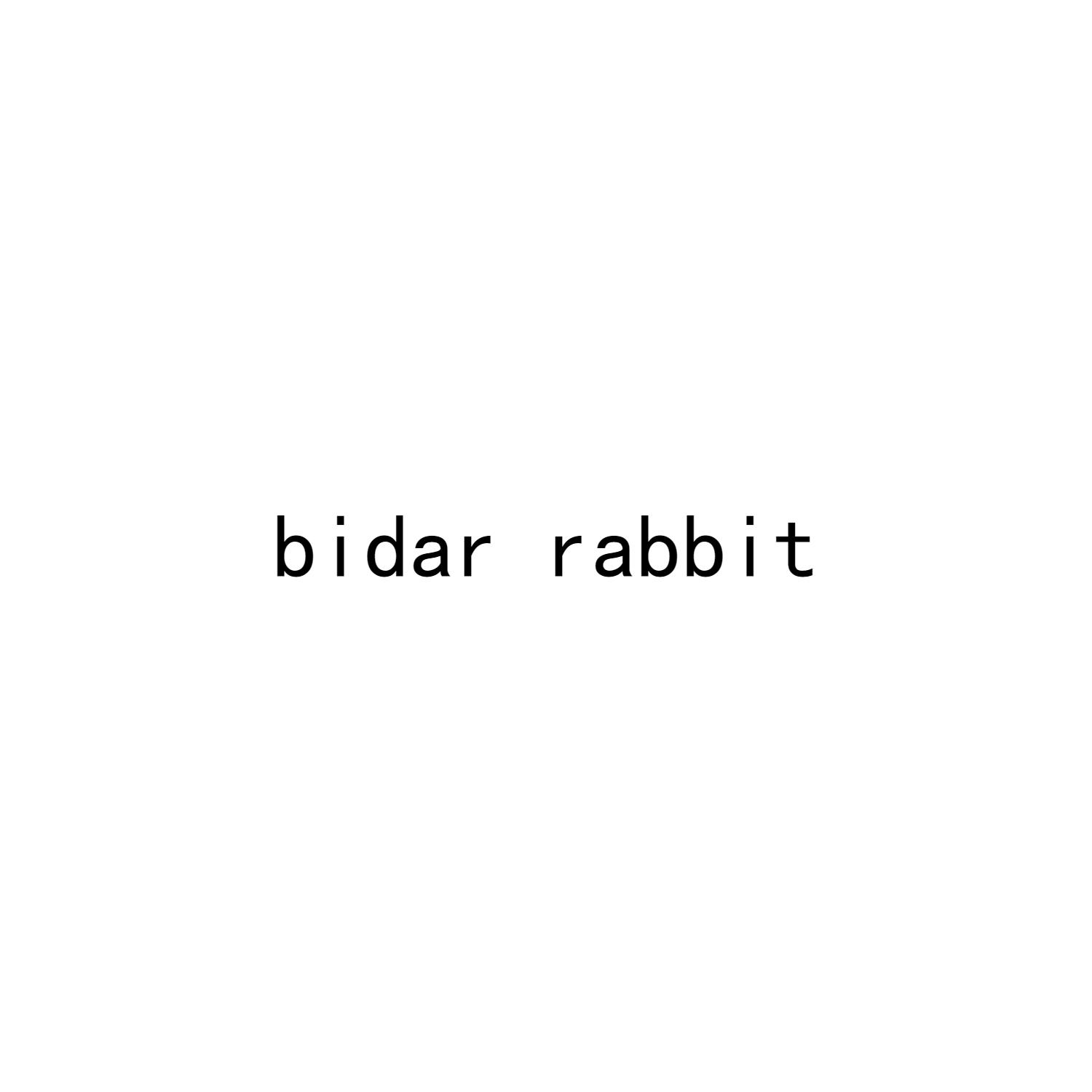 BIDAR RABBIT商标转让