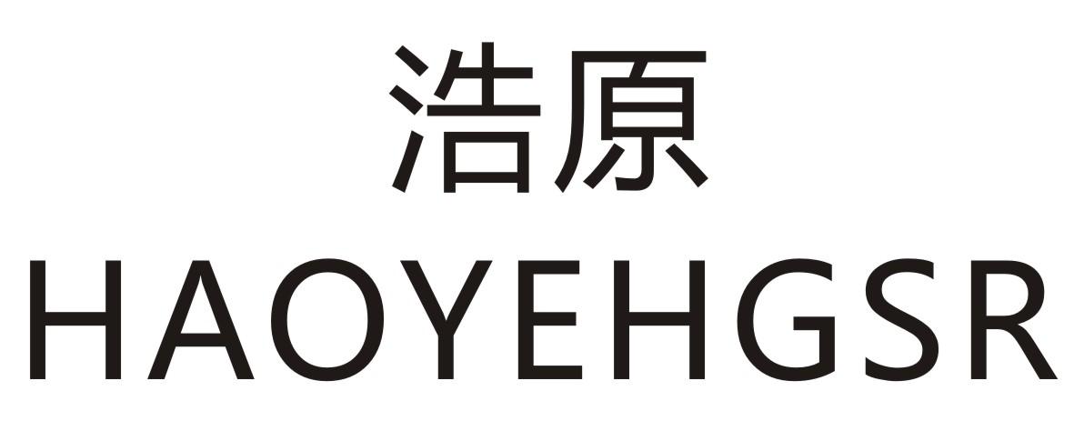 浩原 HAOYEHGSR商标转让