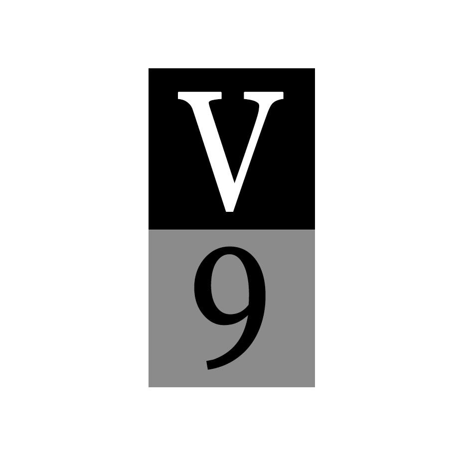 V 9商标转让