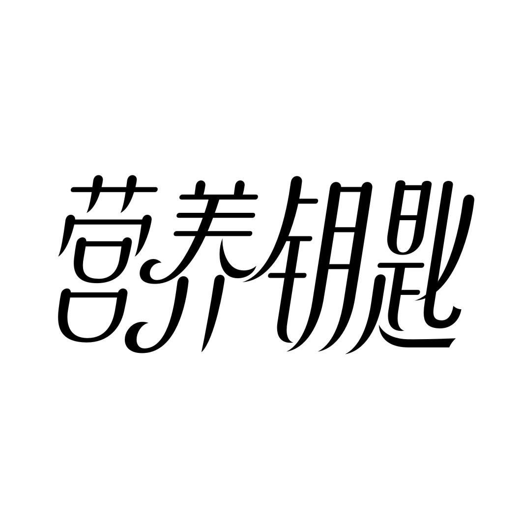 营养钥匙商标转让