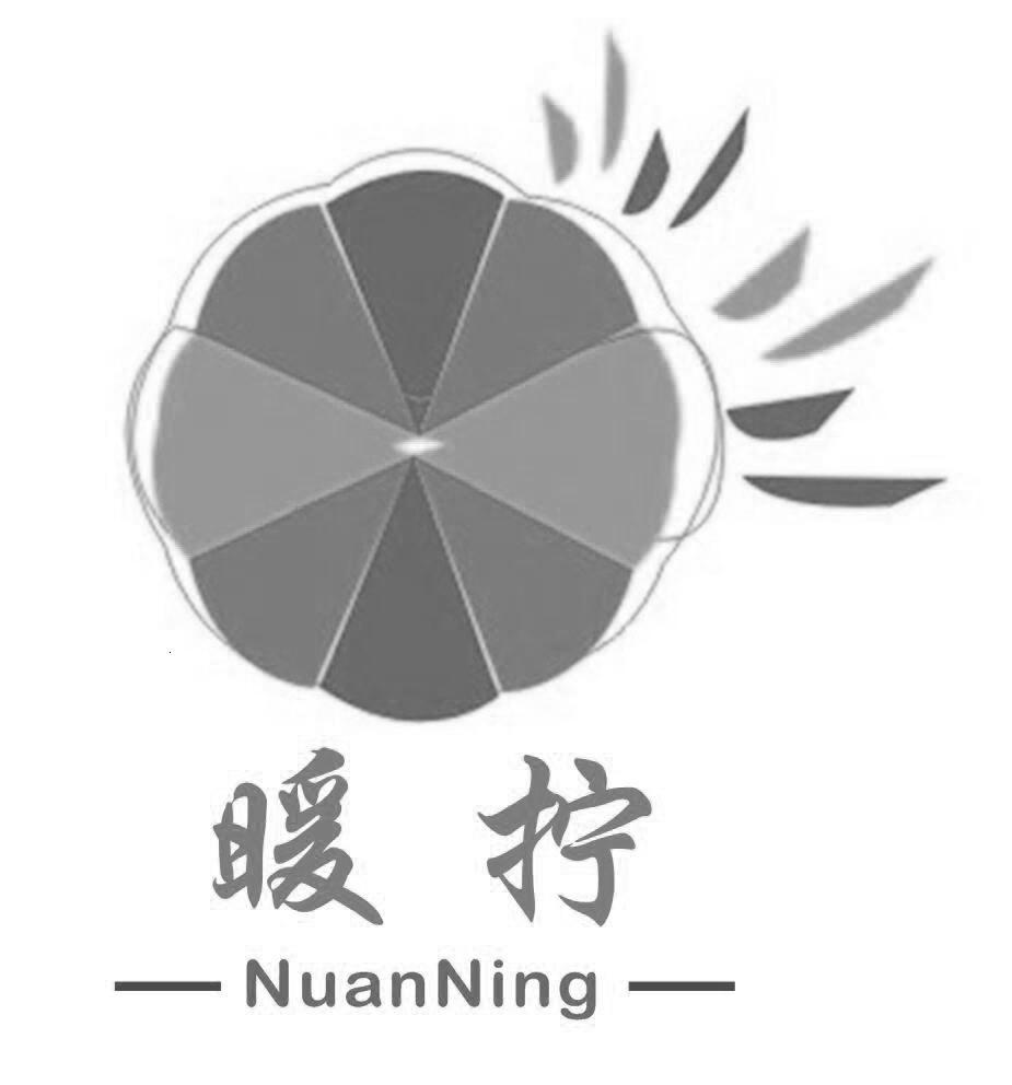 暖柠商标转让