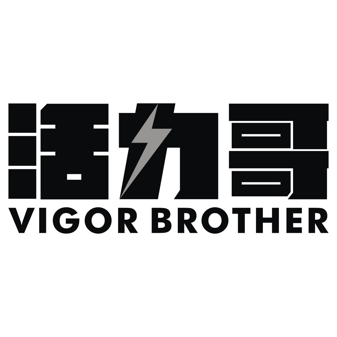 活力哥  VIGOR BROTHER商标转让