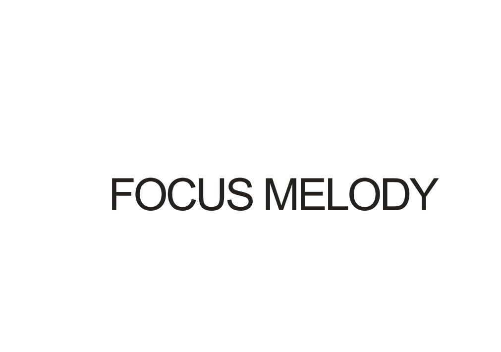 FOCUS MELODY商标转让