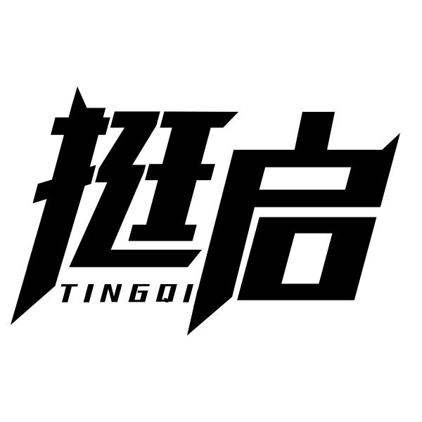 挺启商标转让