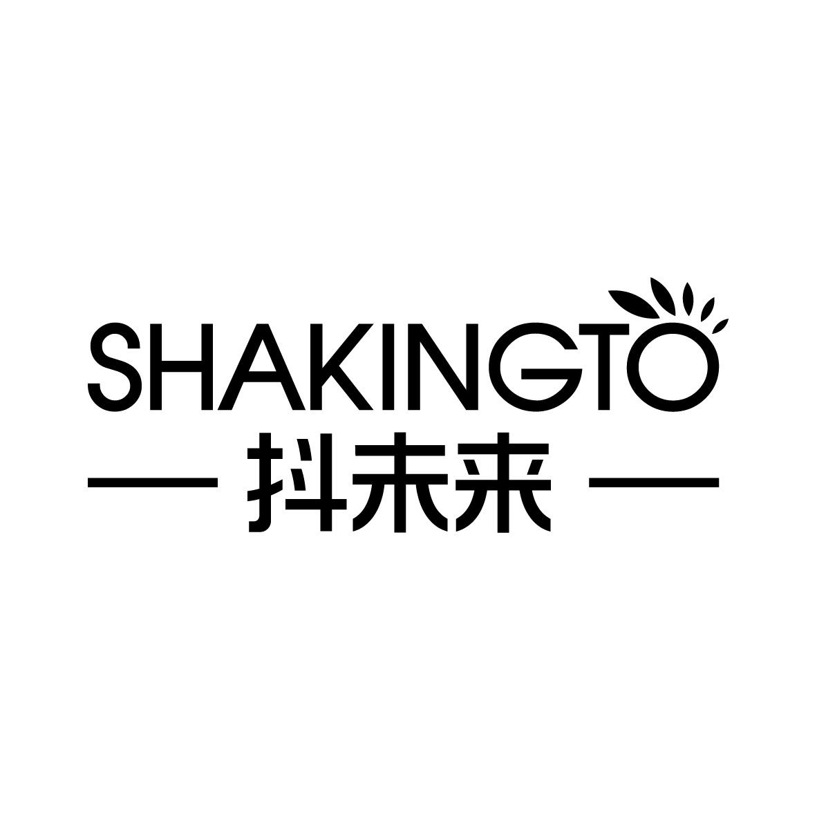 抖未来 SHAKINGTO商标转让