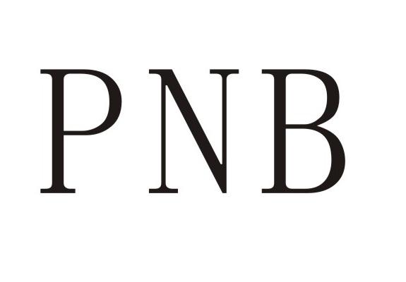 PNB商标转让